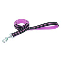 Nylon Dog Leaseh-Frong Durable Tradition Style Leash